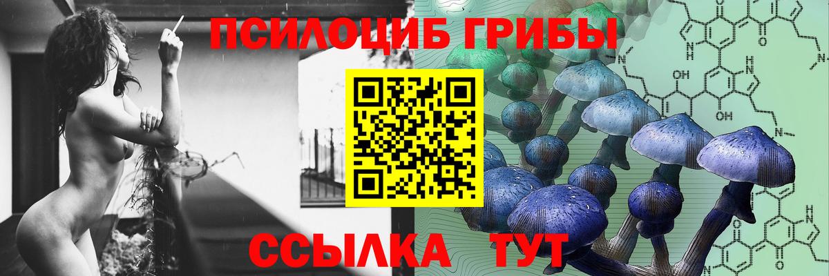 Звенигород  закладки  Псилоцибиновые грибы MAGIC MUSHROOMS  Вход с VPN  Псилоцибиновые грибы прущие грибы 